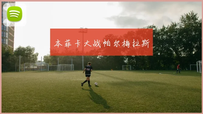本菲卡大战帕尔梅拉斯