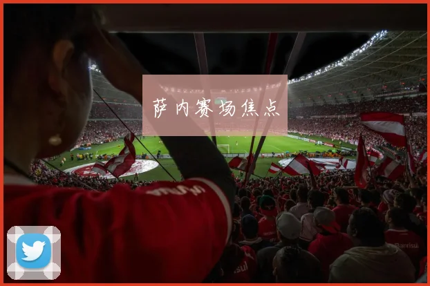 萨内赛场焦点