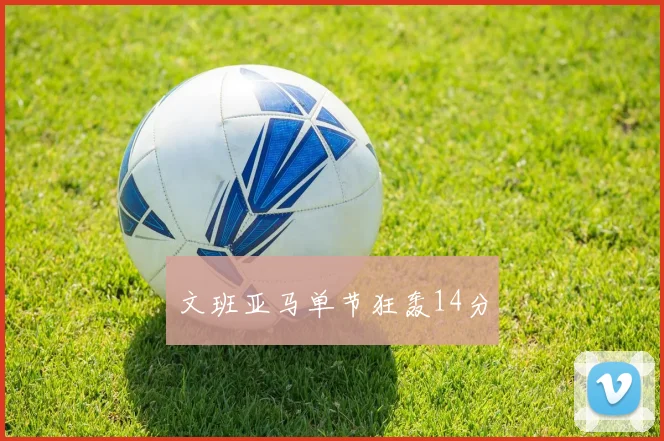 文班亚马单节狂轰14分