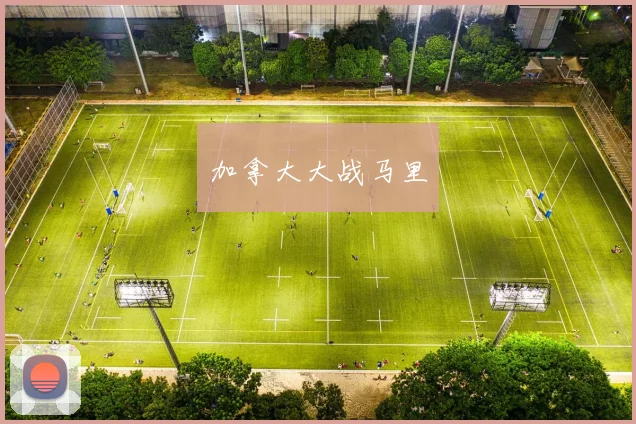 加拿大大战马里