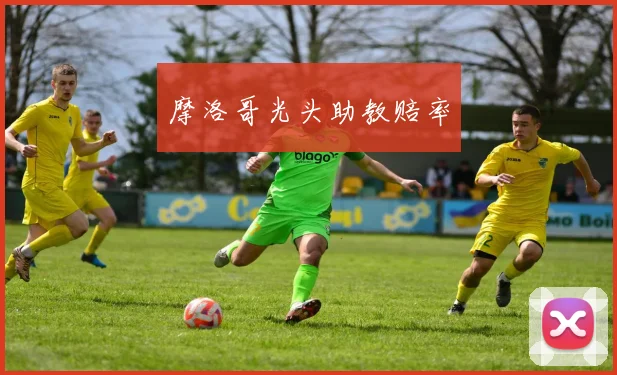 摩洛哥光头助教赔率