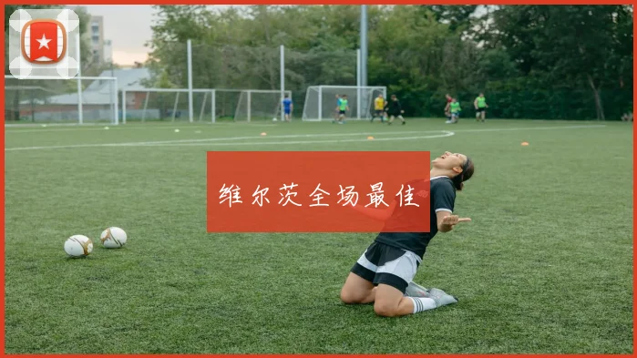 维尔茨全场最佳