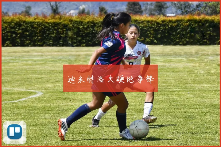 迪米特洛夫硬地争锋