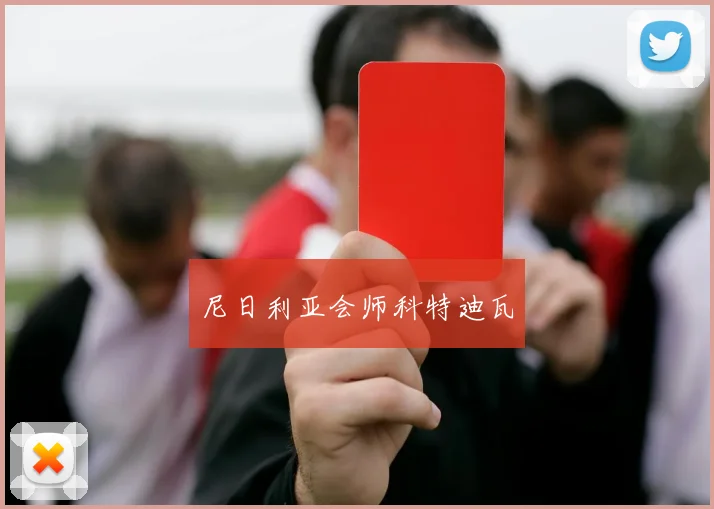 尼日利亚会师科特迪瓦