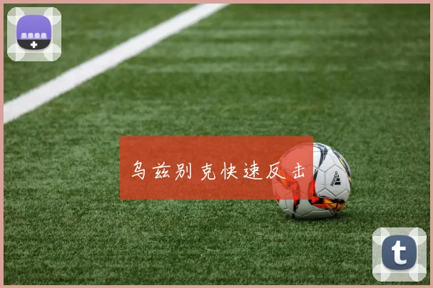 乌兹别克快速反击