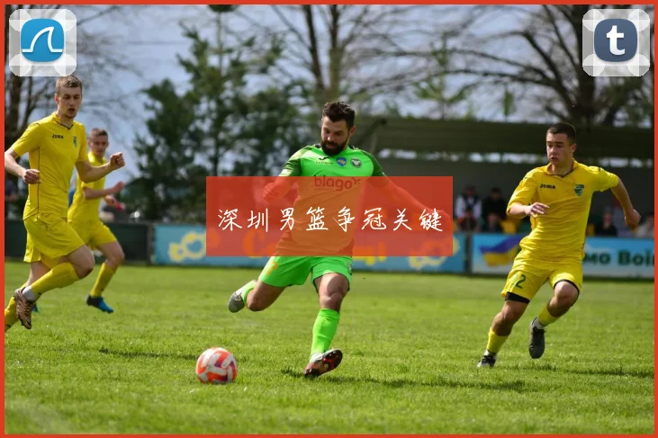 深圳男篮争冠关键