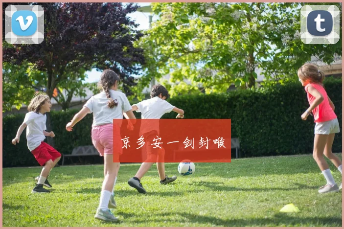 京多安一剑封喉