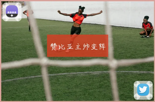 赞比亚主帅变阵