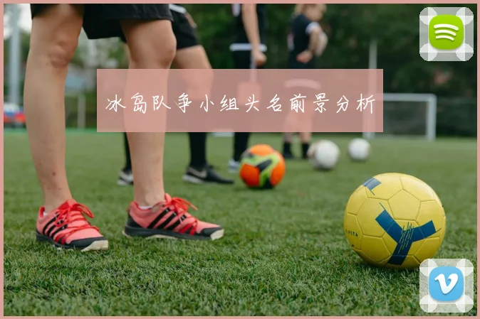 冰岛队争小组头名前景分析