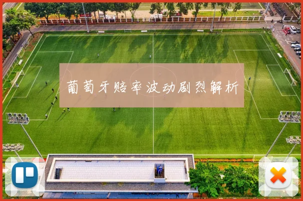 葡萄牙赔率波动剧烈解析
