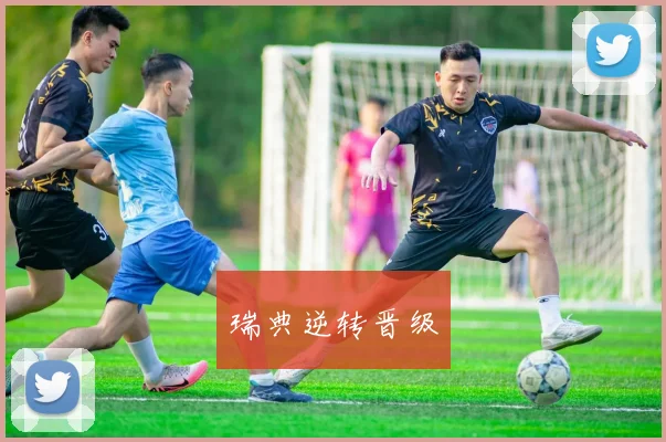 瑞典逆转晋级