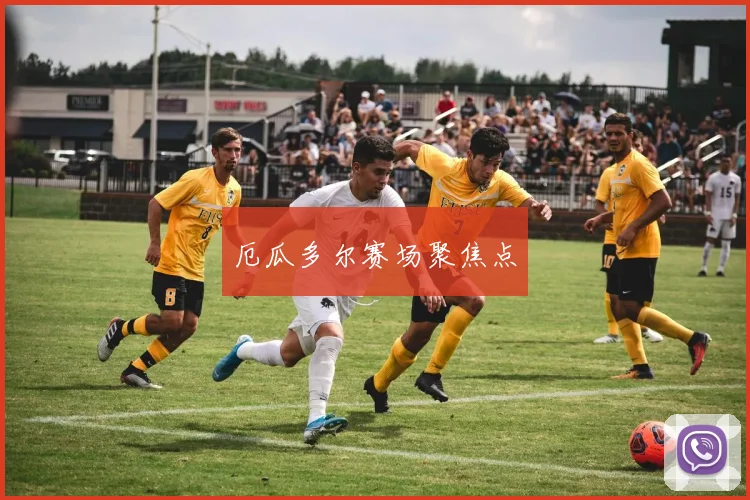 厄瓜多尔赛场聚焦点