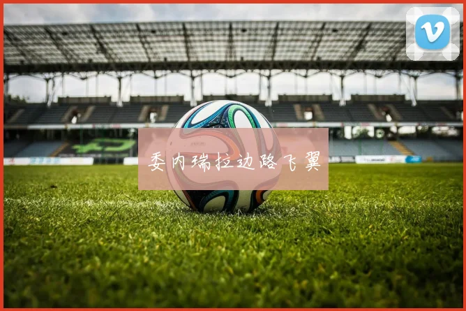 委内瑞拉边路飞翼