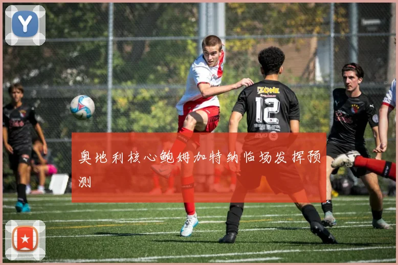 奥地利核心鲍姆加特纳临场发挥预测
