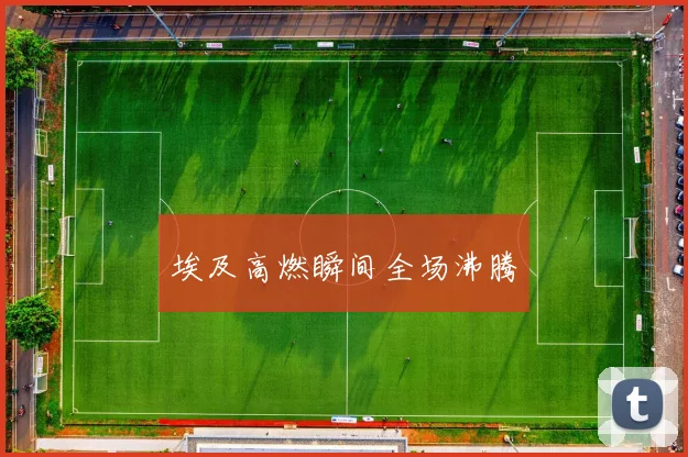 埃及高燃瞬间全场沸腾