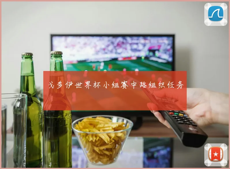 戈多伊世界杯小组赛中路组织任务