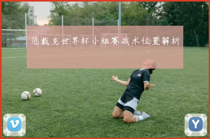 范戴克世界杯小组赛战术位置解析