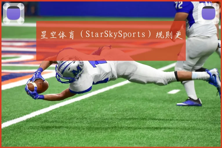 星空体育（StarSkySports）规则更