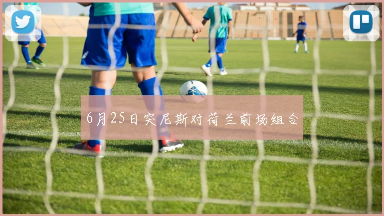 6月25日突尼斯对荷兰前场组合